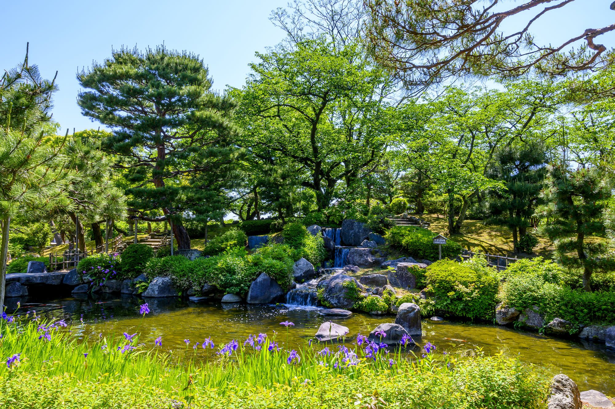 🌳 로조 공원 (아시로조 코엔) 이미지 4